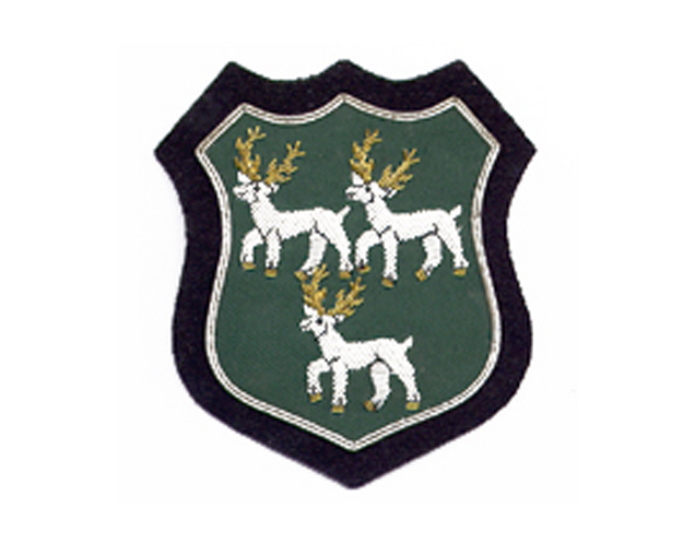 オックスフォードユニバーシティエンブレムEUO082