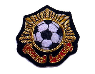 定番モールエンブレムESS560