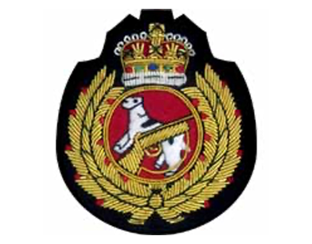 スポーツエンブレムES137