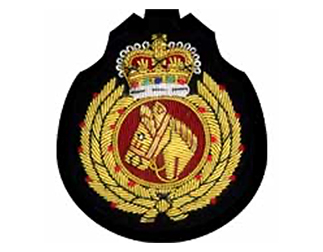 スポーツエンブレムES138