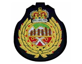 スポーツエンブレムES139