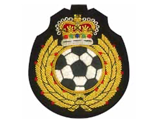 スポーツエンブレムES142