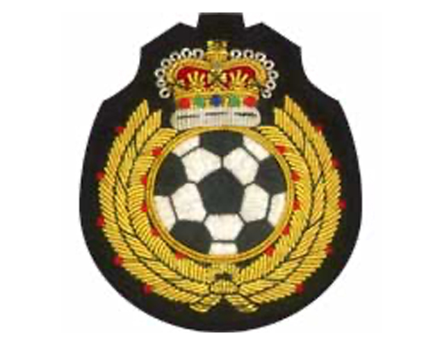 スポーツエンブレムES142