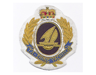 スポーツエンブレムES153