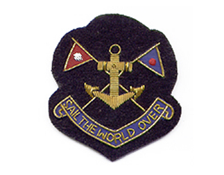 スポーツエンブレムES154