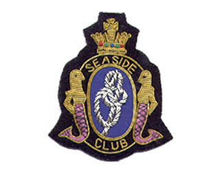 スポーツエンブレムES155