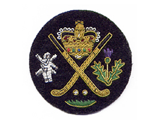 スポーツエンブレムES177