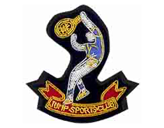 スポーツエンブレムES185