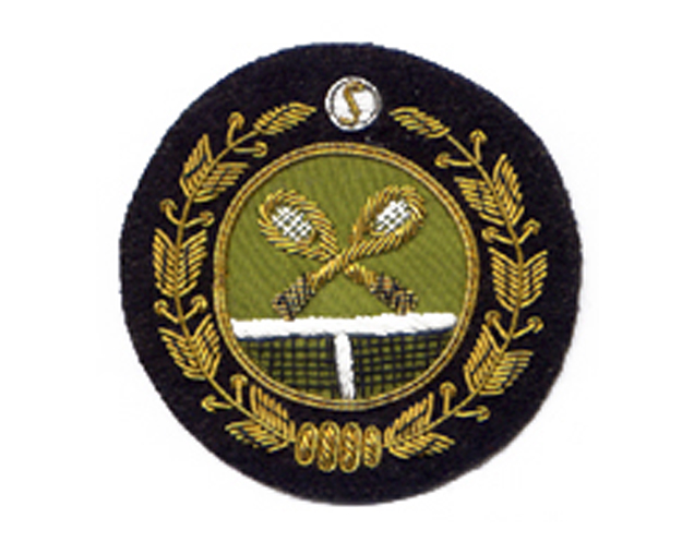 スポーツエンブレムES187