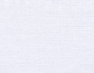 本染用シャーク