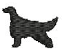 IRISH SETTER